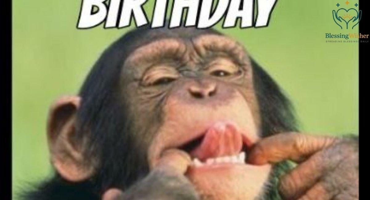Funny Birthday Wishes and Quotes for Friends