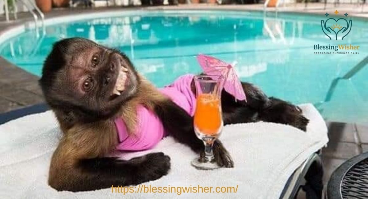 Funny 