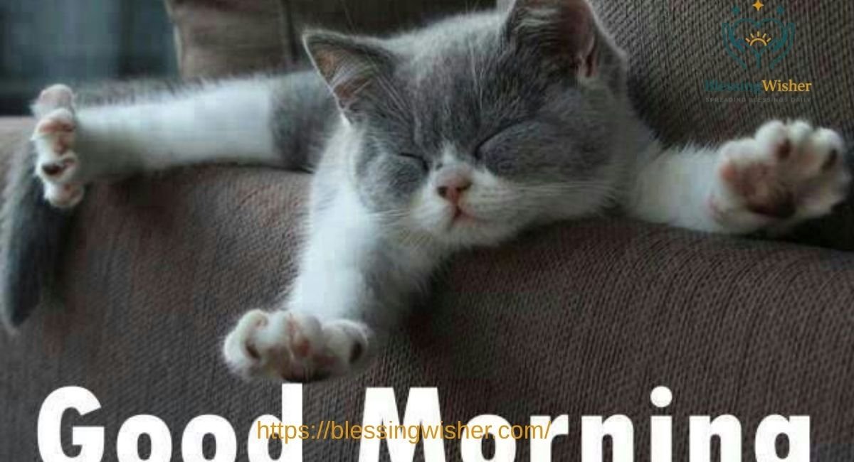 good morning Situational 