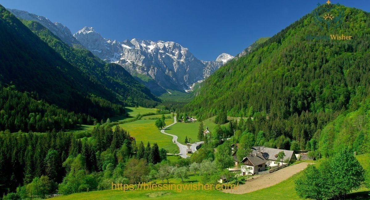 Nature Images