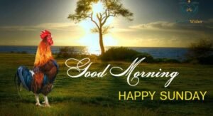 Sunday Morning Blessings